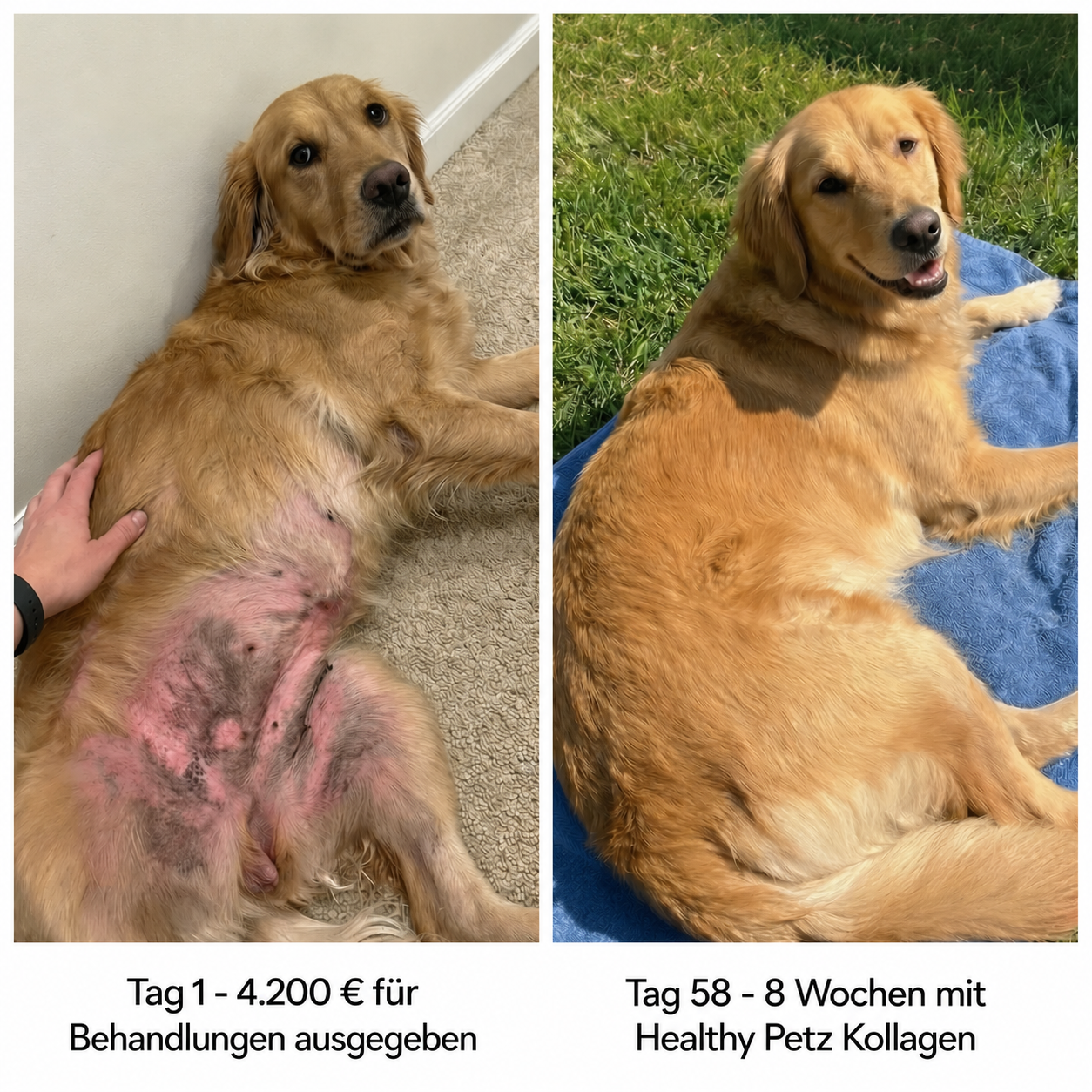 Premium Flüssiges Kollagen Healthy Petz