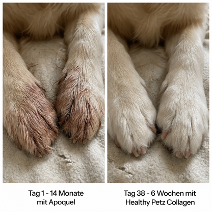 Premium Flüssiges Kollagen Healthy Petz