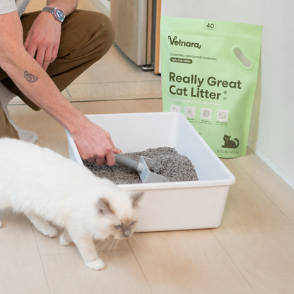 Really Great Cat Litter