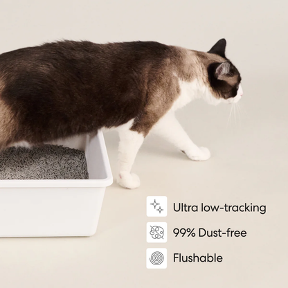 Really Great Cat Litter