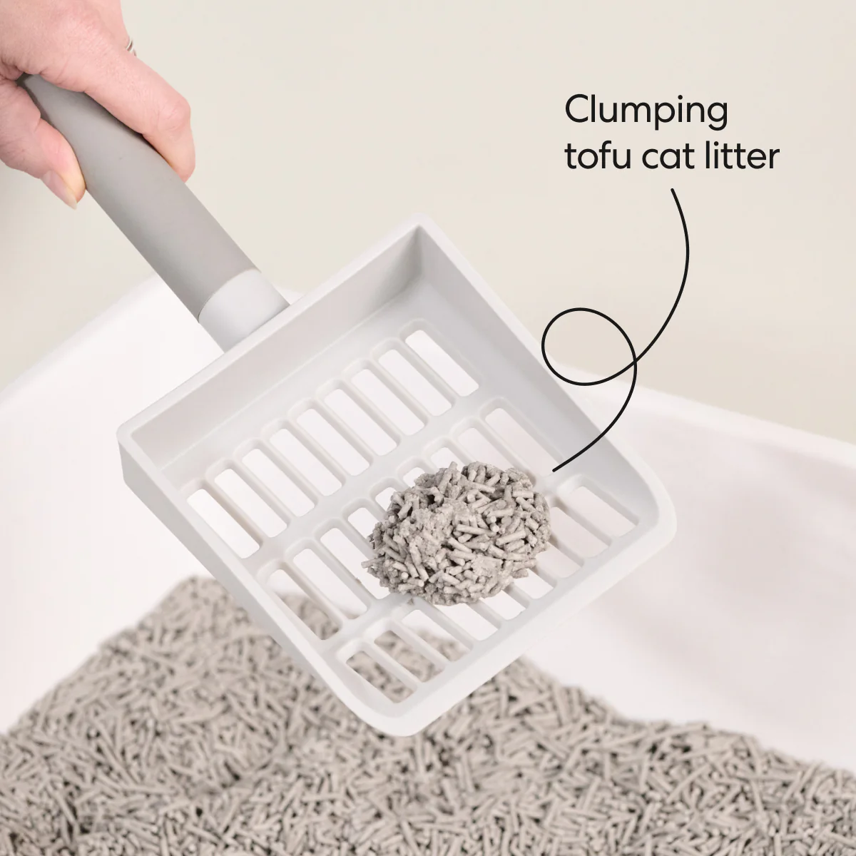 Really Great Cat Litter