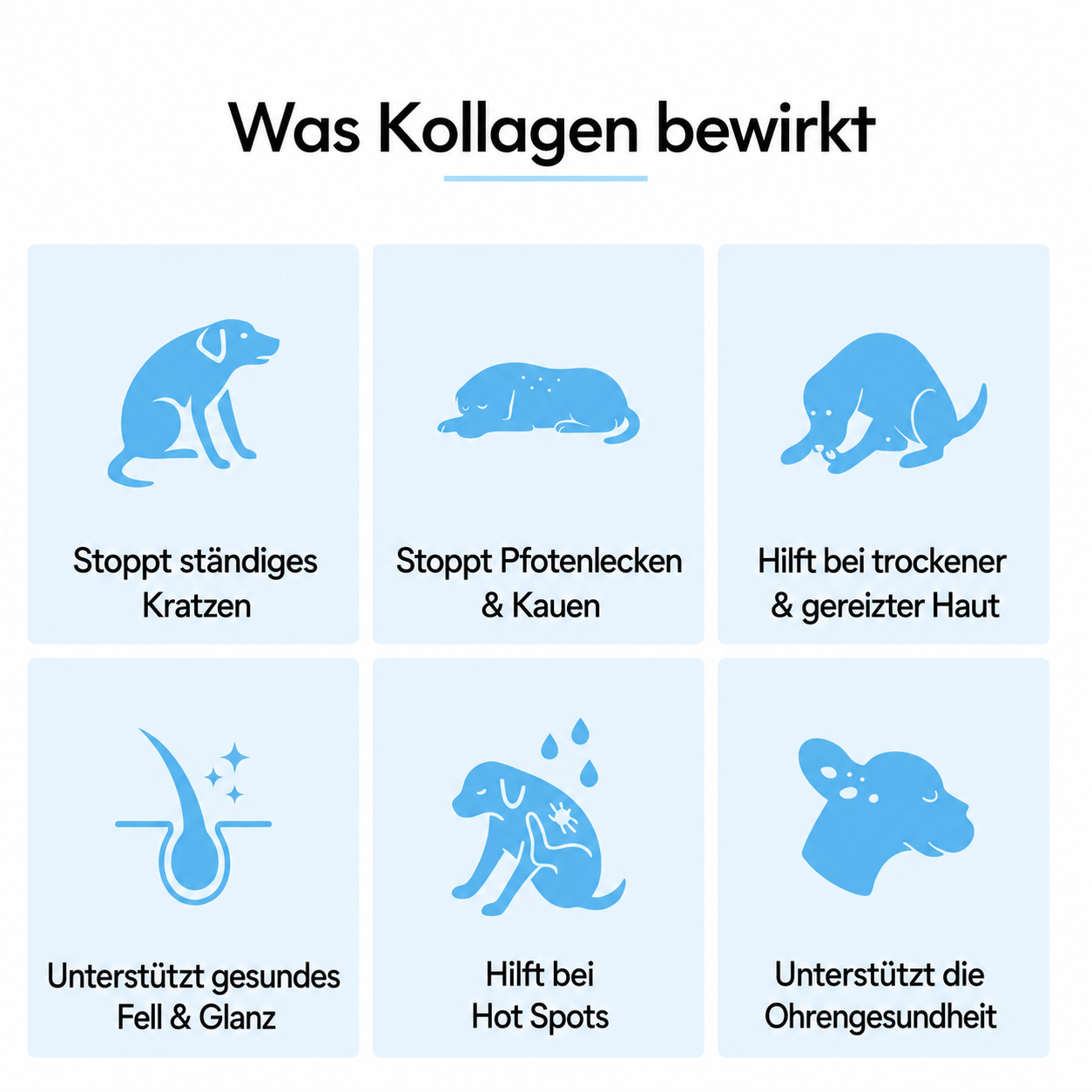 Premium Flüssiges Kollagen Healthy Petz
