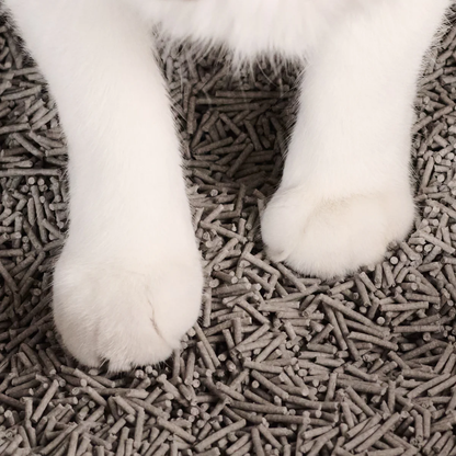 Really Great Cat Litter